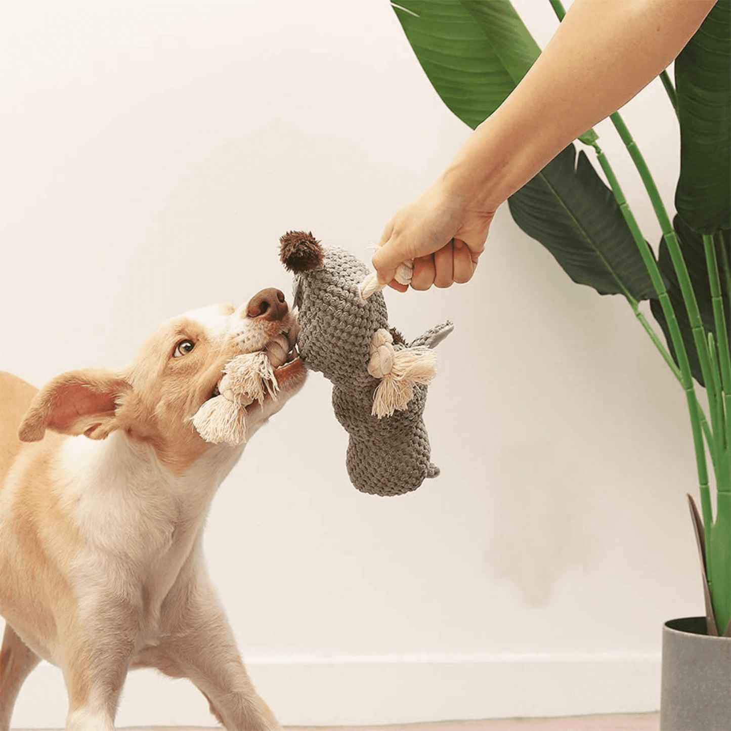 Crinkle Paper Rope Squeaky Plush Donkey Toy for Dogs