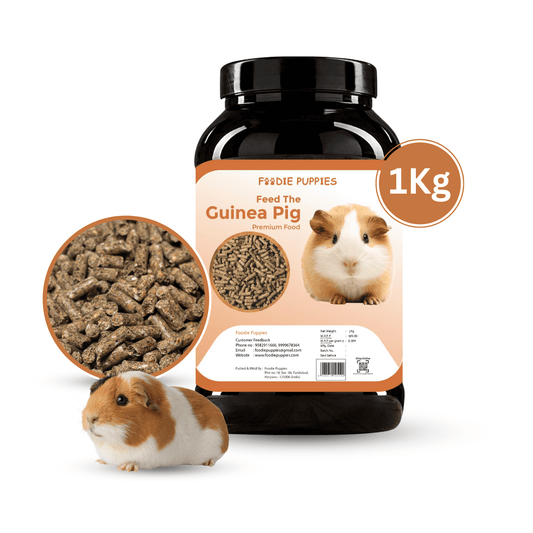 1Kg Guinea Pig Food Pellets, Highly Nutritious Diet