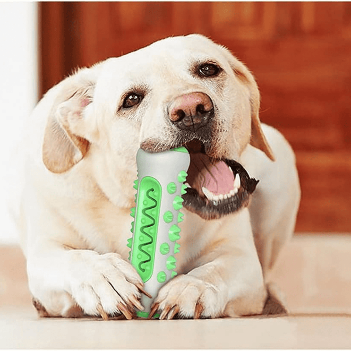 Tough Chew Toy for Medium to Large Dog - Gum Guard Bone