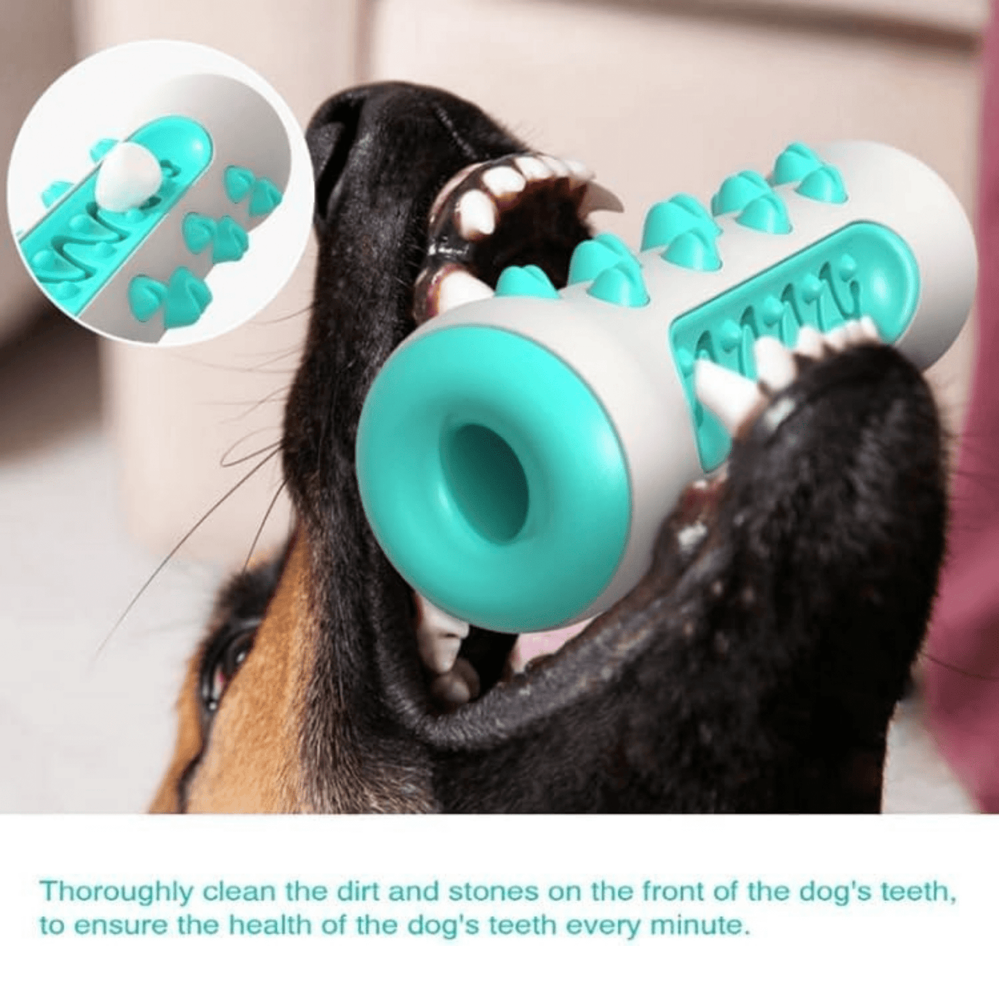 Tough Chew Toy for Medium to Large Dog - Gum Guard Bone