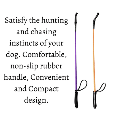 Training Hunter Stick for Dogs, Pack of 2 (Color May Vary)