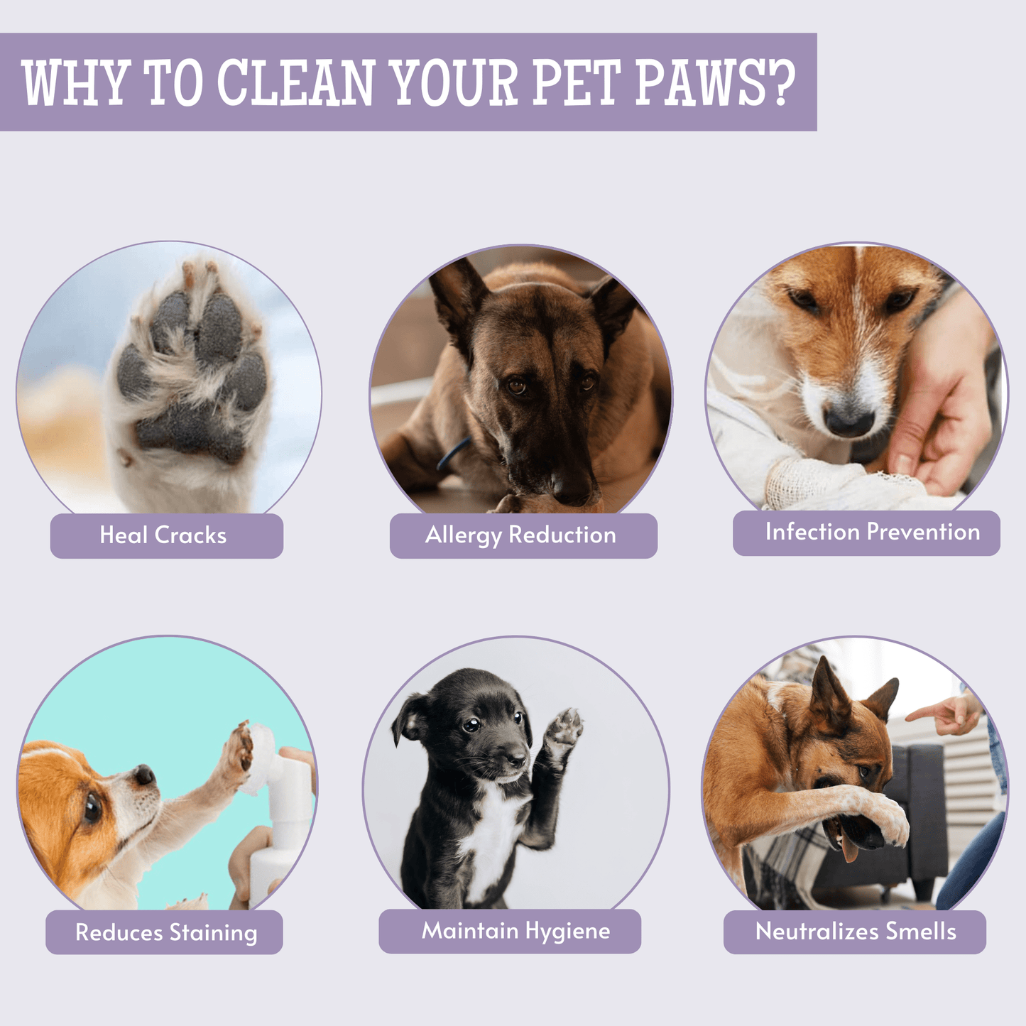 pet soothing paw care