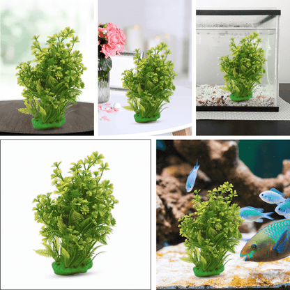 decorative plants for aquarium