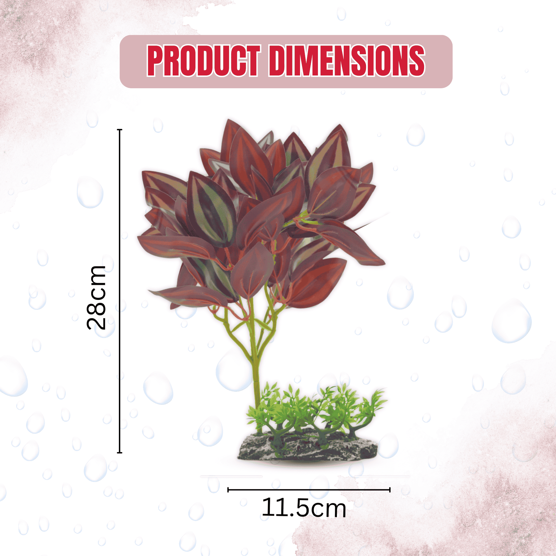 Maroon dew plant