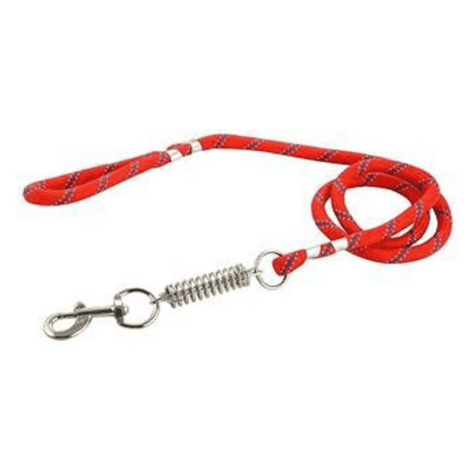 Dog Leash