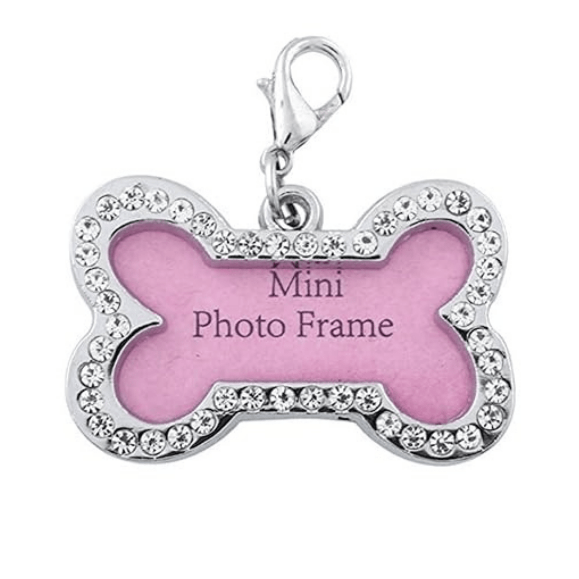 Pet Tag Frame