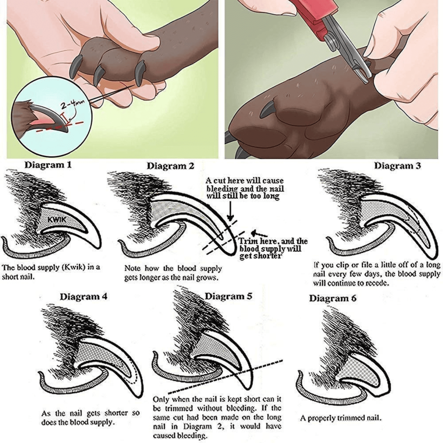 Nail Clipper with Filer for Small Dogs, Cats & Pets