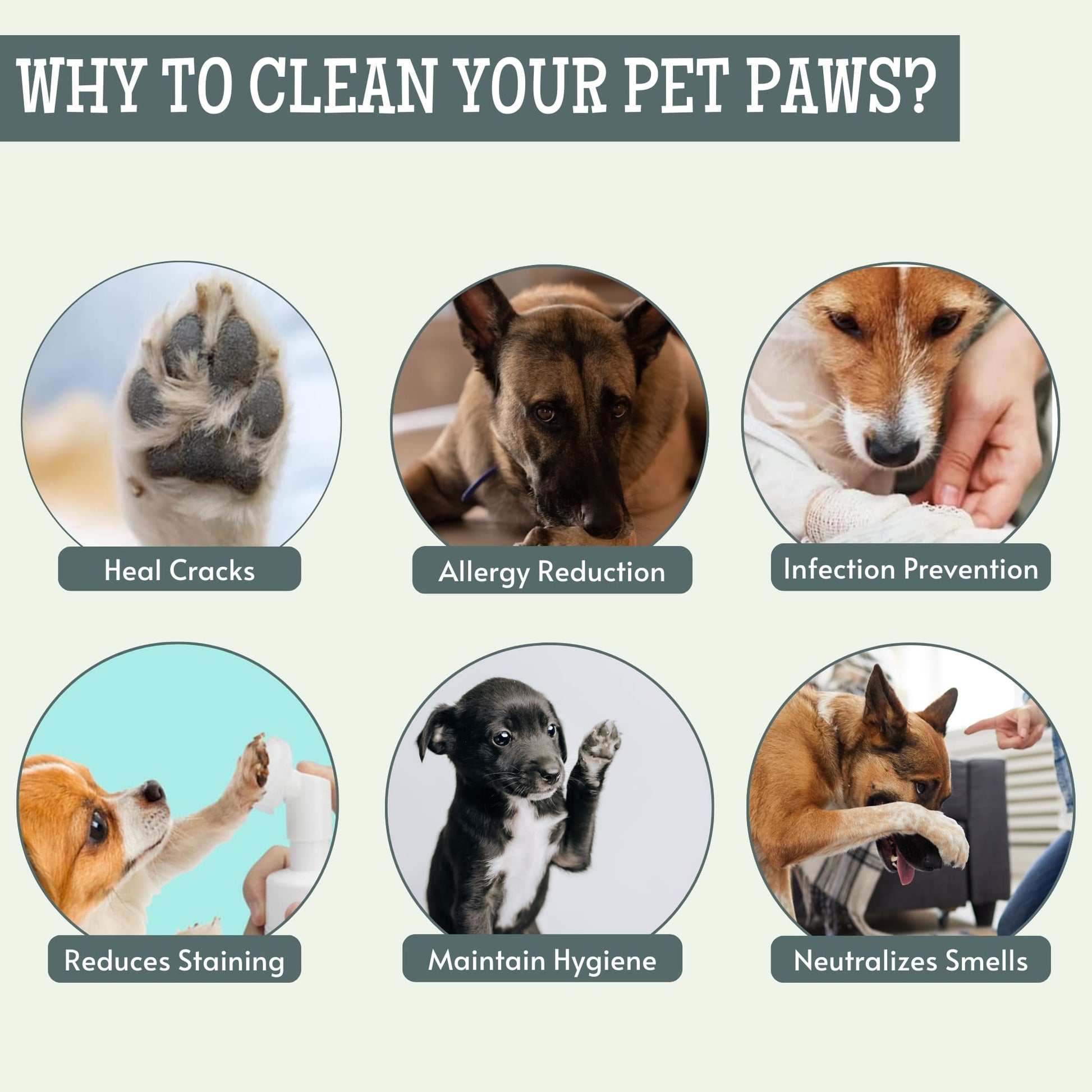 Pet Paw Cleaning foam