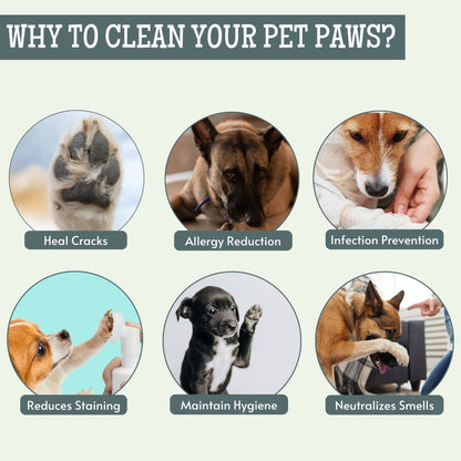 Pet Paw Cleaning foam