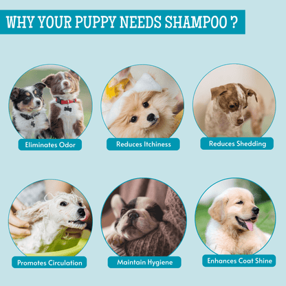 Natural Puppy Shampoo