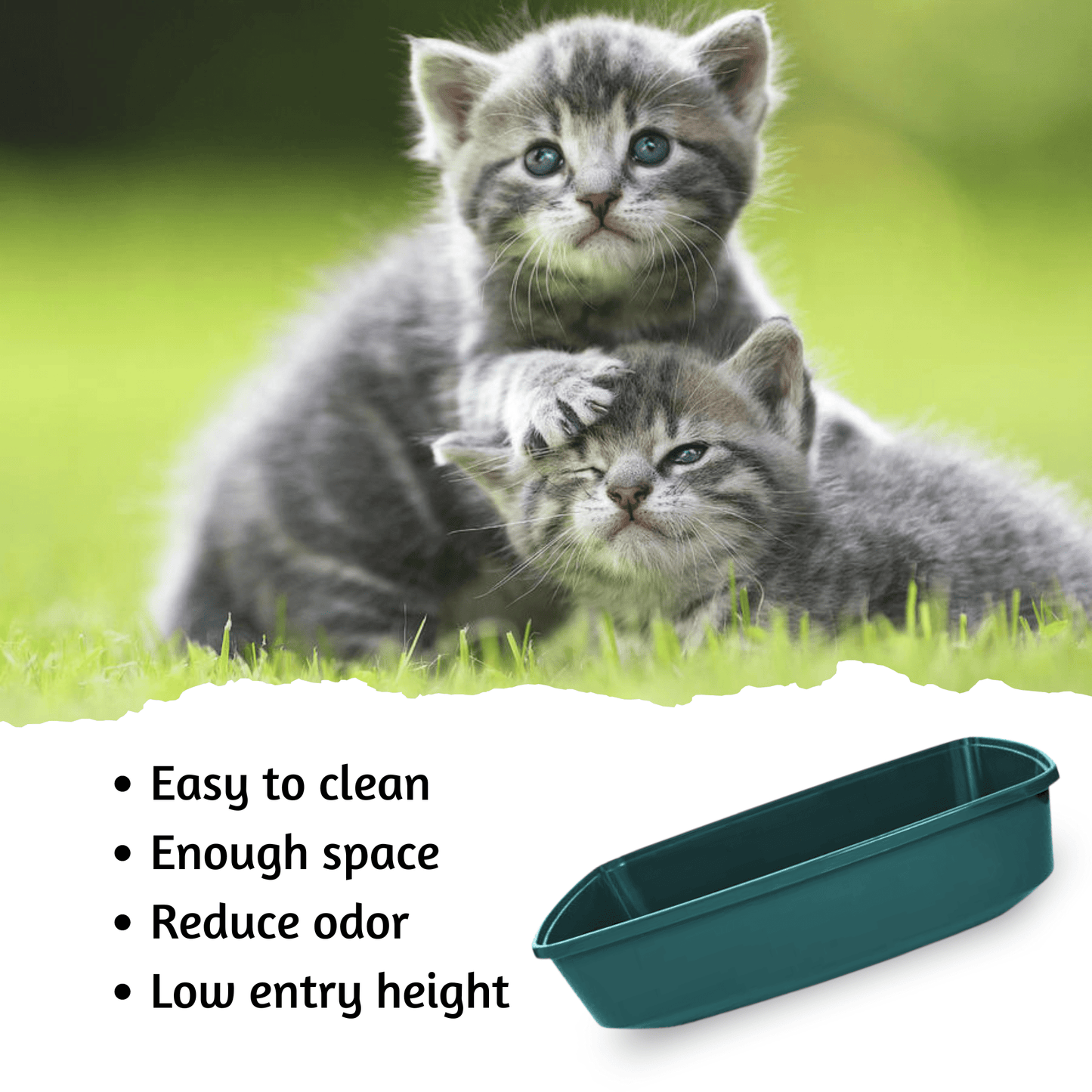 Odor control cat litter box