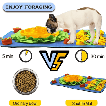 Large Rainbow Snuffle Mat | Dog Puzzle Toy Foraging Mat