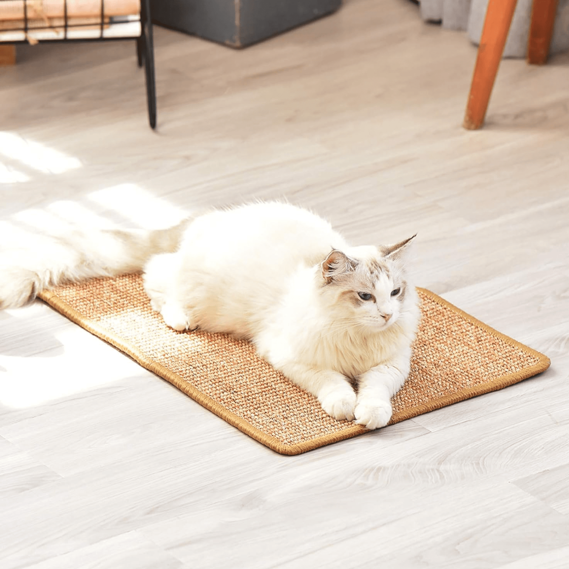 Sisal scratch pad for cats