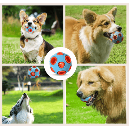 Dogs Interactive Double Layer Ball Chew Toy - (Space Ball)