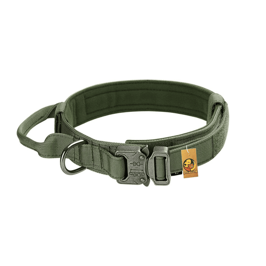 Adjustable Nylon Tactical Dog Collar - Green (Large)