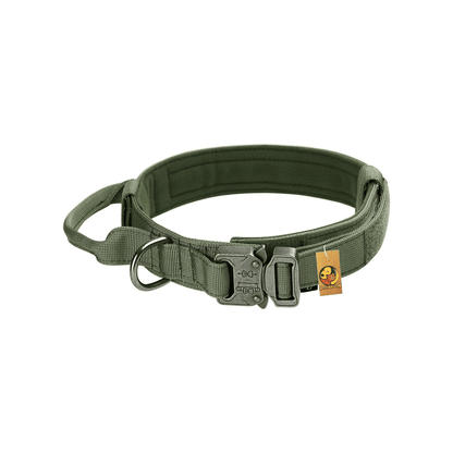 Adjustable Nylon Tactical Dog Collar - Green (Medium)