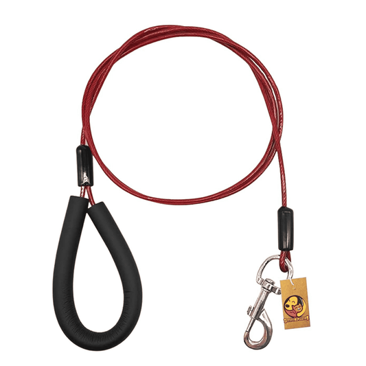 Dog Tie-out cable leash