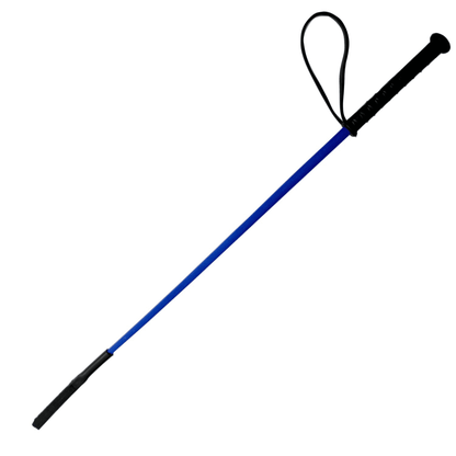 Pet Training Hunter Stick for Dogs (Color May Vary)