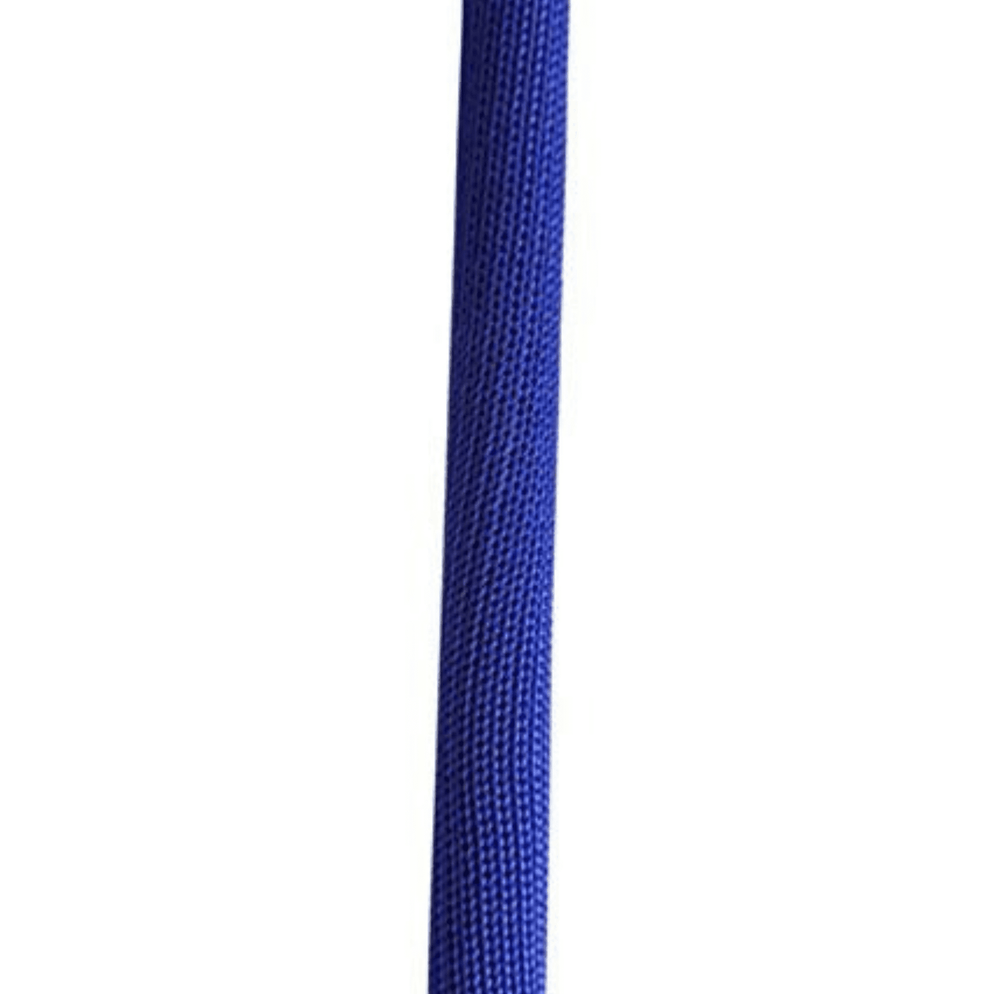 Training Hunter Stick for Dogs, Pack of 2 (Color May Vary)