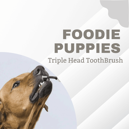 Triple Head Toothbrush for Dogs and Cats