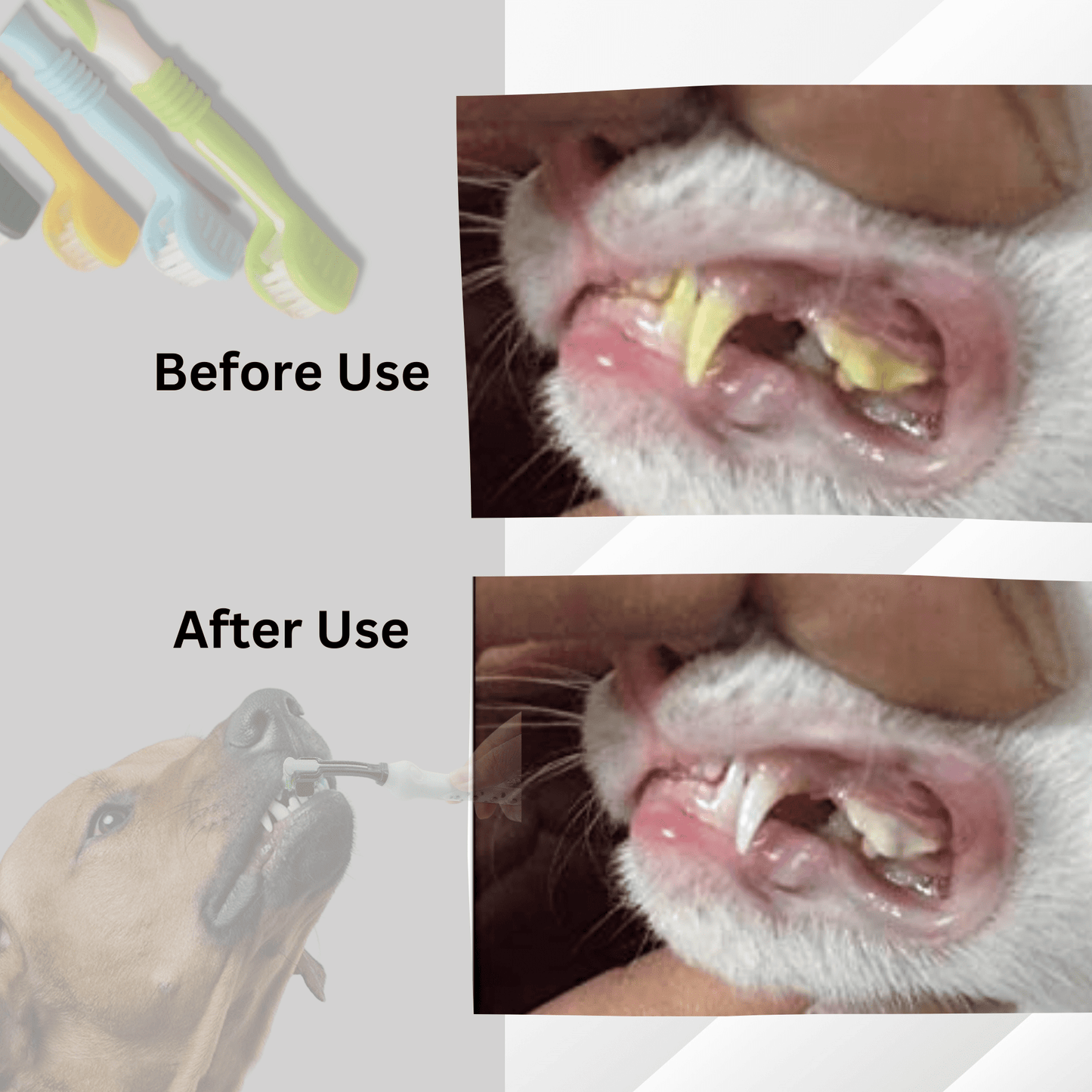 Triple Head Toothbrush for Dogs and Cats