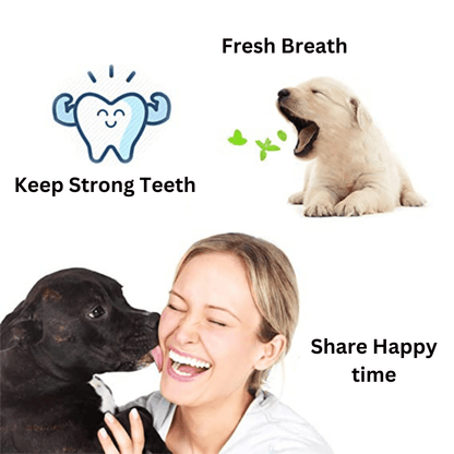 Triple Head Toothbrush for Dogs and Cats