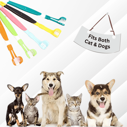 Triple Head Toothbrush for Dogs and Cats