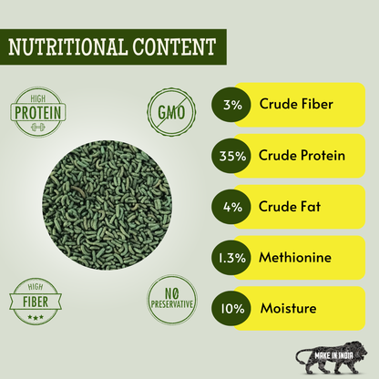 3Kg Turtle Food Pellets, Nutritional & Optimal Growth