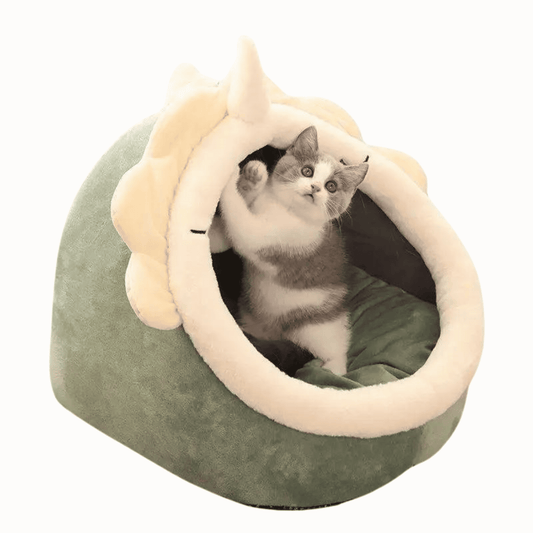 Cat House