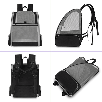 Pet Ventura Black Backpack for Small Dogs and Cats