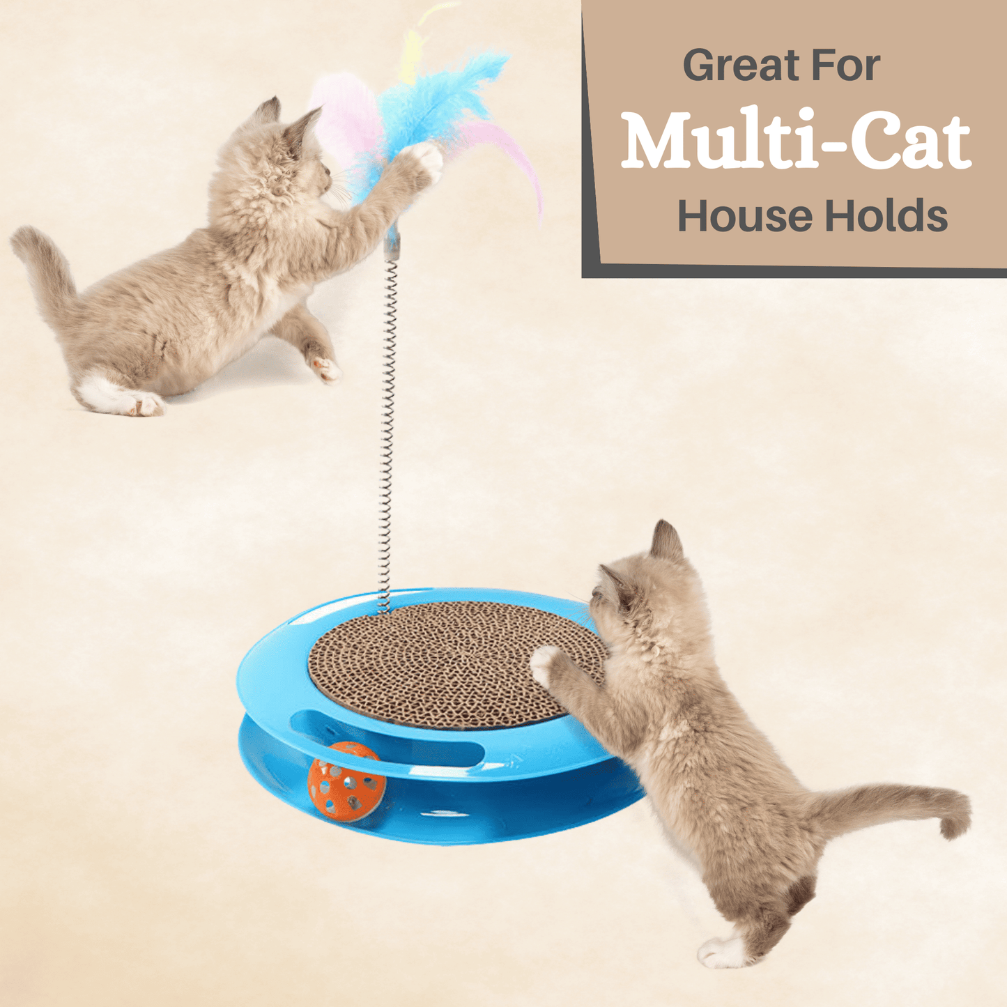 Interactive Whirl N Scratch Toy for Cats & Kittens