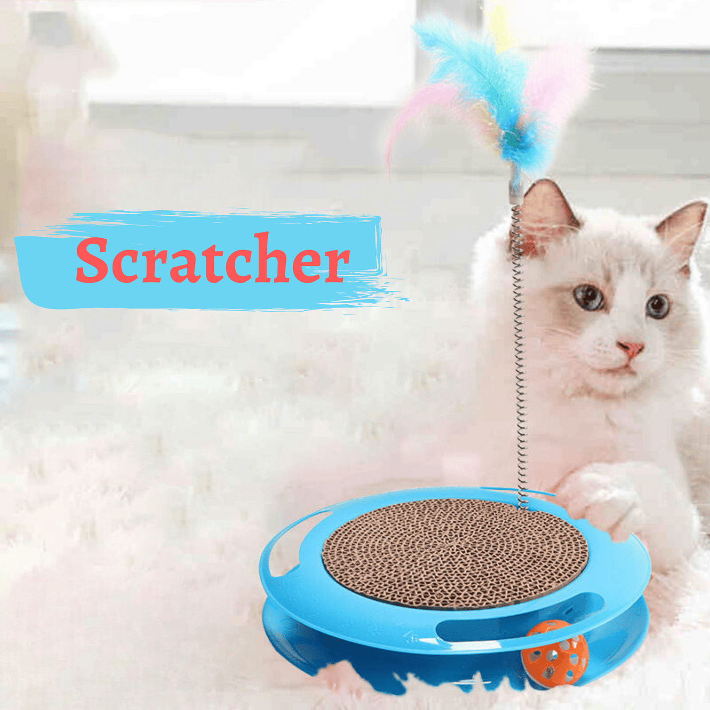 Interactive Whirl N Scratch Toy for Cats & Kittens