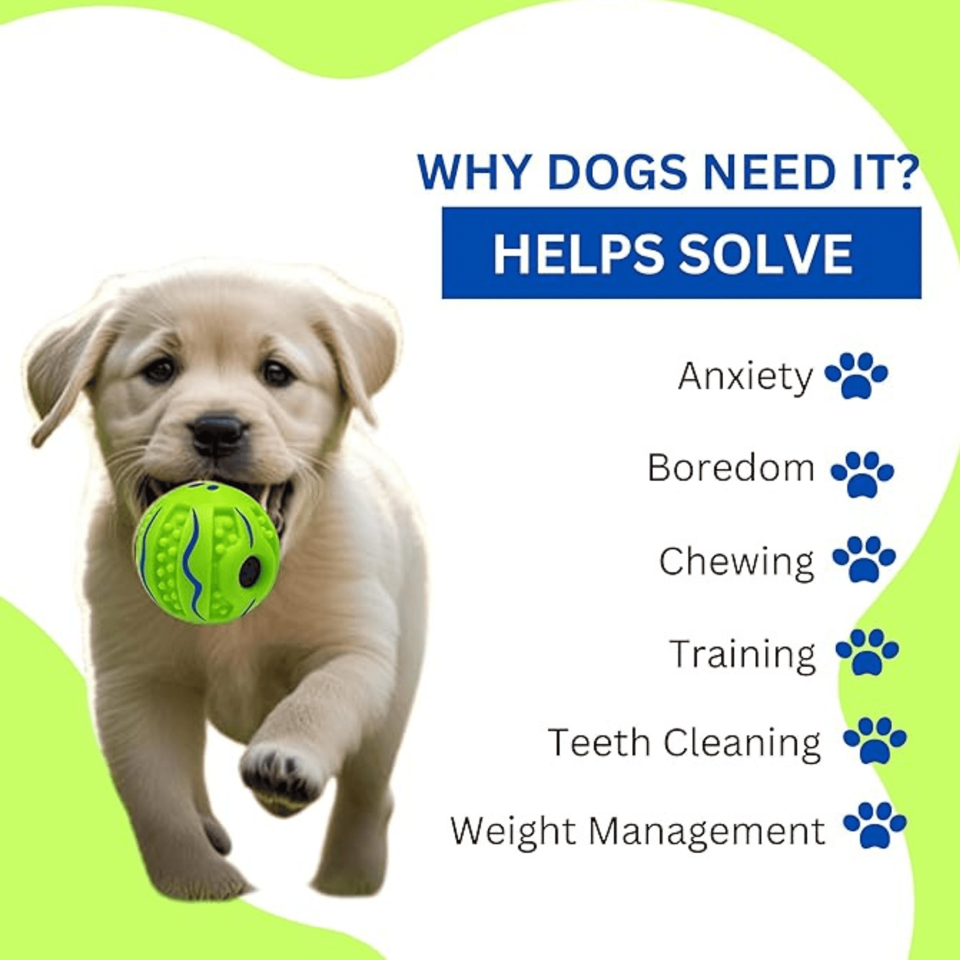 Training ball dog toy