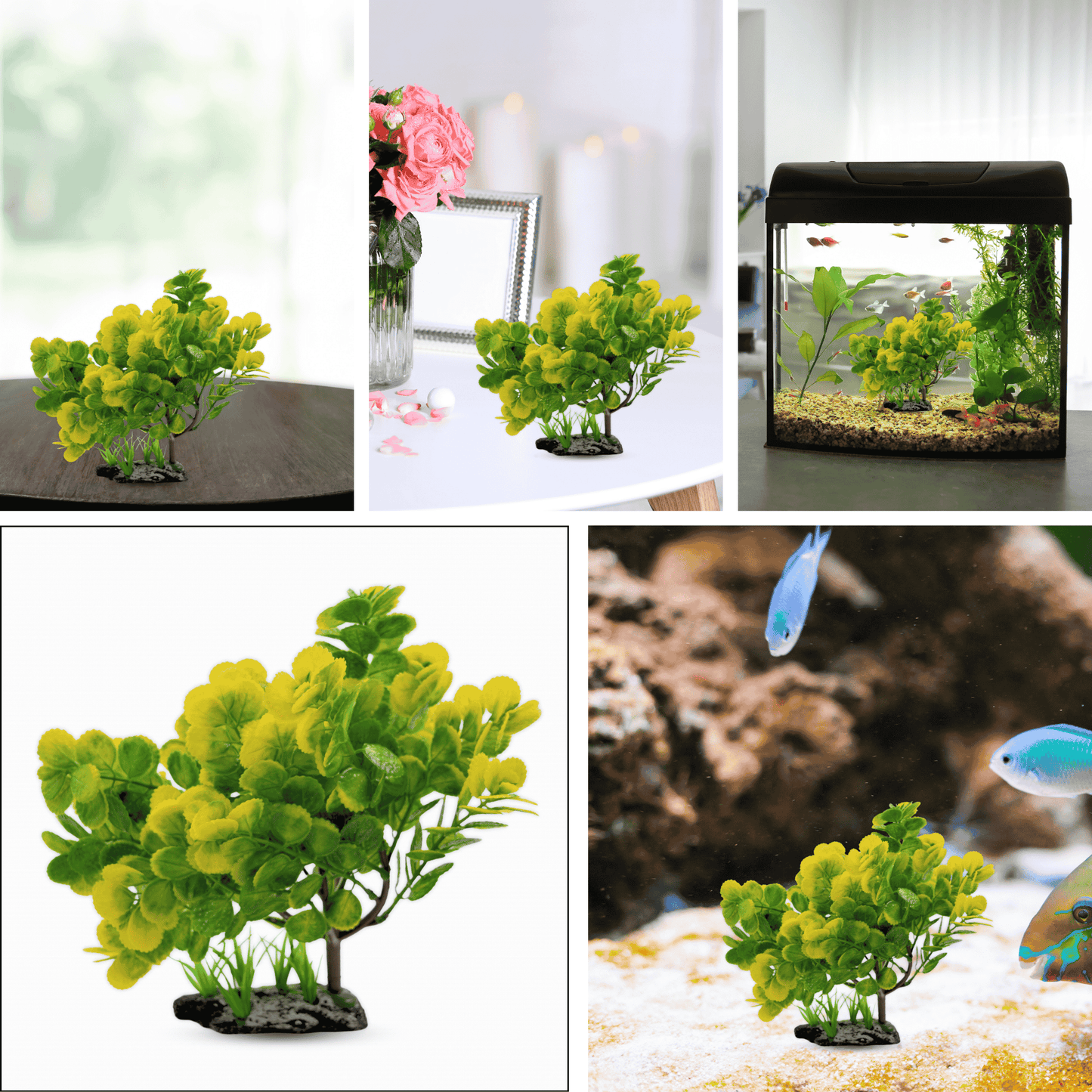 aquarum decor yellow plant