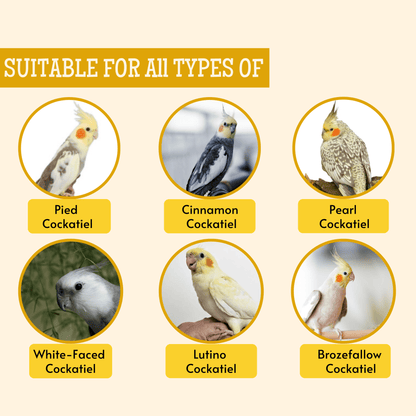 bird food for all breeds